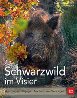 Afrikanische Schweinepest